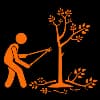 Tree Trimming